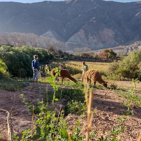 Maimará Dormir Con Llamas מראה חיצוני תמונה
