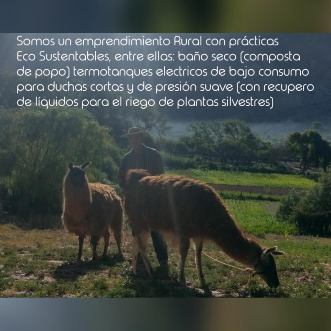 Maimará Dormir Con Llamas מראה חיצוני תמונה